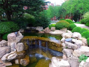 喜訊 致遠(yuǎn)翡翠園榮獲山東省園林綠化優(yōu)質(zhì)工程獎(jiǎng)項(xiàng)