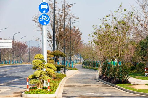 經(jīng)開區(qū)八項(xiàng)園林綠化工程榮獲“南湖杯”優(yōu)質(zhì)工程獎(jiǎng)