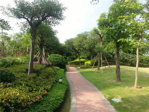 園林養護指南 從專業手冊到高清視覺的全面指引