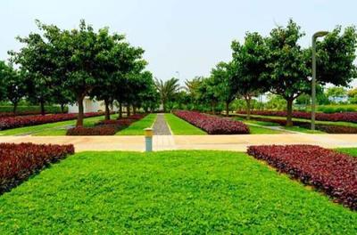 《廣東省園林綠化工程綜合定額（2018）》解讀 規范市場、指導實踐的行業基石