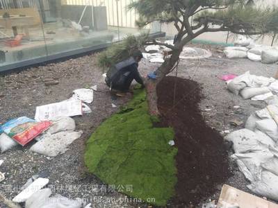 初見園林 專業園林綠化工程與精湛別墅園林施工