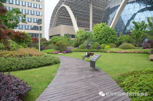 都市綠洲，云端花園——杭州國際博覽中心項目屋面園林綠化工程獲2016年度杭州市優秀園林綠化工程綜合組金獎紀實