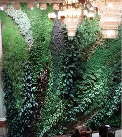 園林工程中的六種垂直綠化形式及其應用